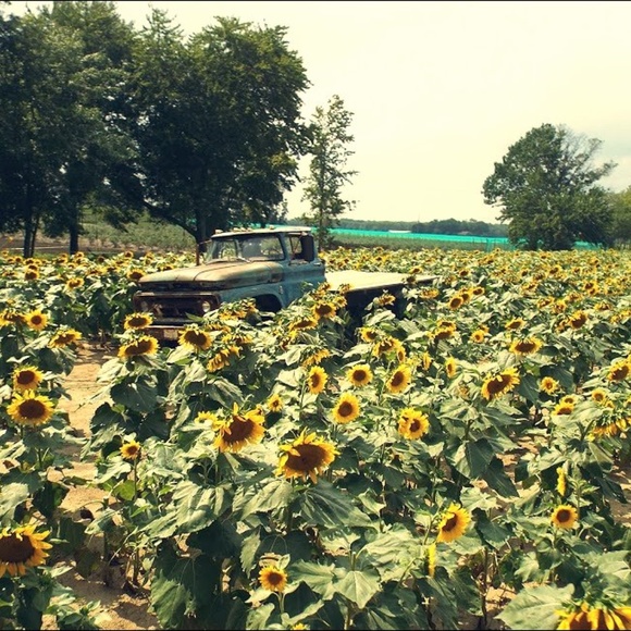 Meet your Posher, Travis - Picture 2 of 2